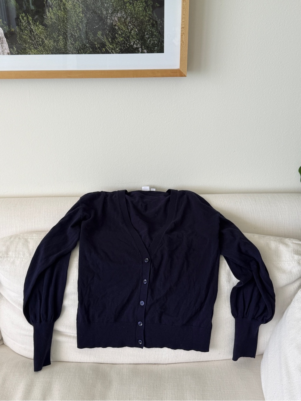 Gap Cardigan